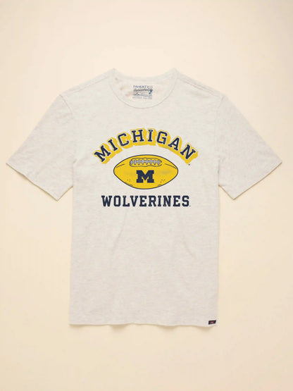 University of Michigan Sunwashed Tee - Island Dune Heather